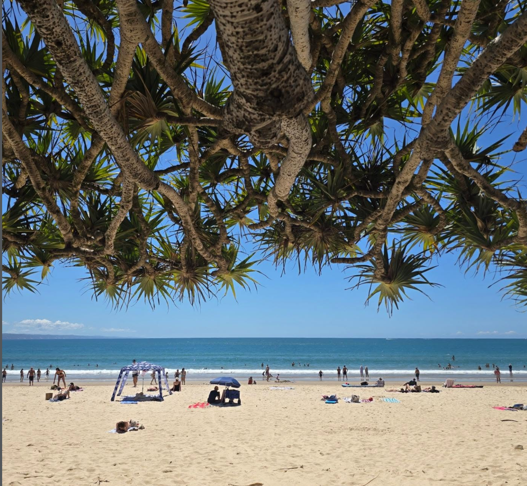 Noosa Main Beach — where Wave Electrical calls home