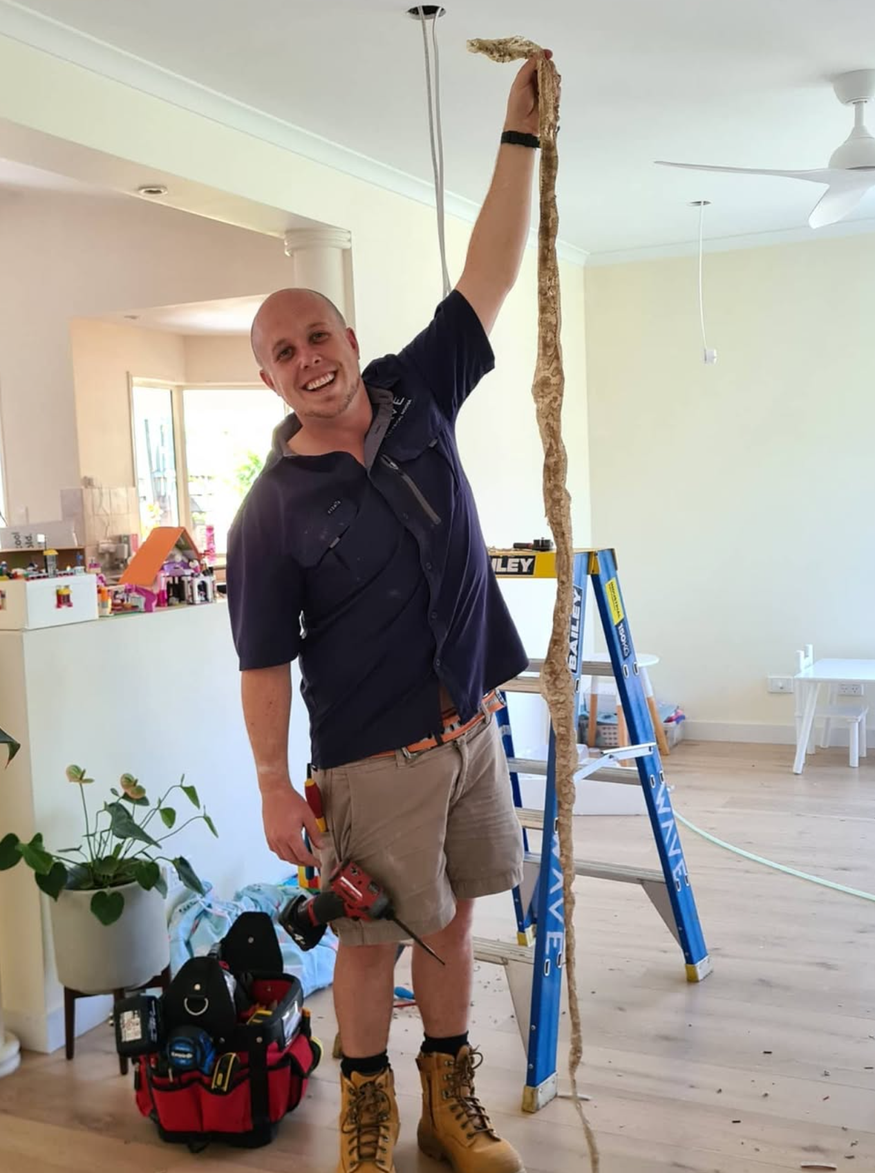 Wave Electrical electrician holding a snakeskin found in a ceiling cavity
